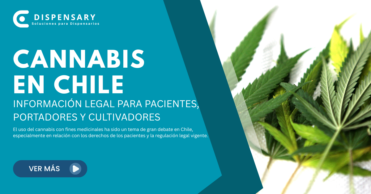 cannabis en chile